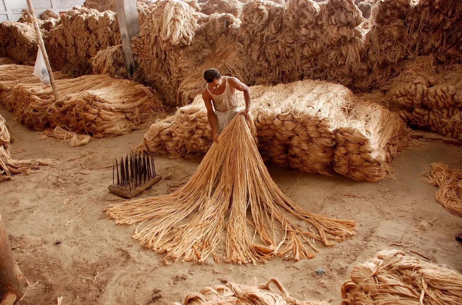 Классификация джута Классификация джута